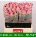 ΤΡΙΑΝΤΑΦΥΛΛΑ ΡΟΖ 60εκ  ROSEN  ATHENA ROYALE 60cm
